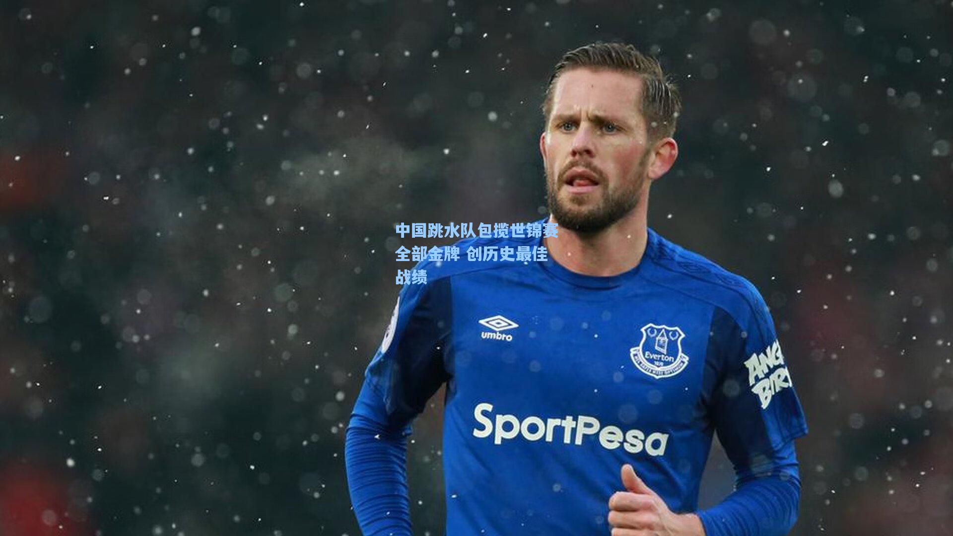 中国跳水队包揽世锦赛全部金牌 创历史最佳战绩